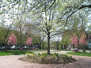 a photograph of a park